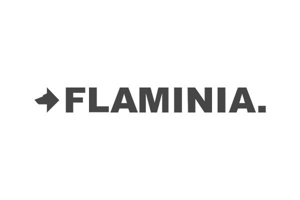logo-flaminia